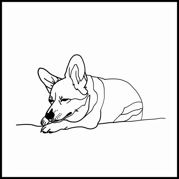 Plakat 80x80cm Śpiący Corgacz zdjęcie 3