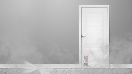 ŚRODEK BOMBA PREPARAT GRANAT FOGGER NA PLUSKWY PAJĄKI MOLE PRUSAKI (3 na Arena.pl