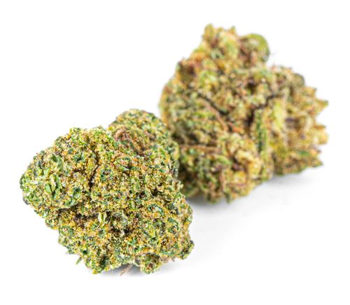 CBD SUSZ KONOPNY DIESEL PREMIUM PRODUKT NATURALNY 10 g na Arena.pl