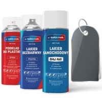 lakier samochodowy w sprayu zestaw do zderzaków bmw a08 silbergrau