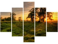 70 100CM OBRAZ 5 ELEM ZACHODZĄCE SŁOŃCE WŚRÓD DRZEW DRUK PŁÓTNO