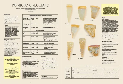 Italia Na Talerzu na Arena.pl