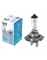 ŻARÓWKA HALOGENOWA H7 24V 70W filtr UV E4 ŻARÓWKI