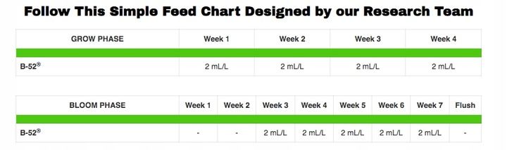 Advanced Nutrients B-52 250 ml mieszanka 6 zdjęcie 2