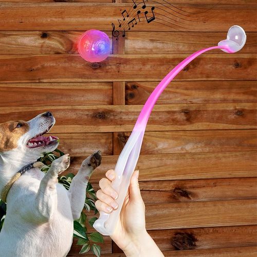 Miotacz piłki dla psa 68 cm na Arena.pl