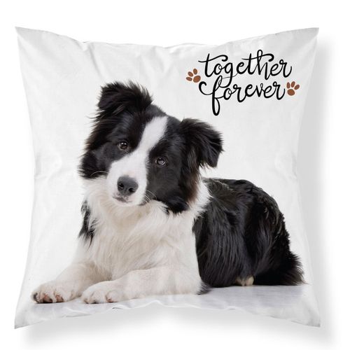 Poszewka Na Poduszkę 40X40 Border Collie Mf 008 na Arena.pl