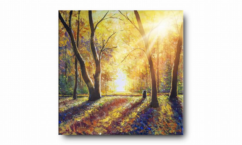 OBRAZ NA PŁÓTNIE 037 Jesienne słońce 40x40cm zdjęcie 2