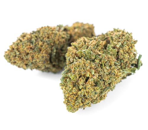 Susz konopny CBD | JACK HERER | 1 g na Arena.pl