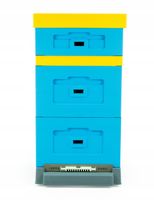 Ul wielkopolski 10-ram. z dennicą wysoką higieniczną plastikową, malowany