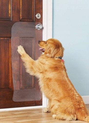 FOLIA OCHRONNA DRZWI MEBLE PRZECIW DRAPANIU 150X80 RAKLA FILC GRATIS na Arena.pl