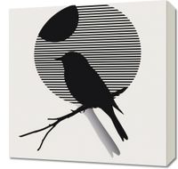 Obraz 50x50cm Kontrast Smukłości