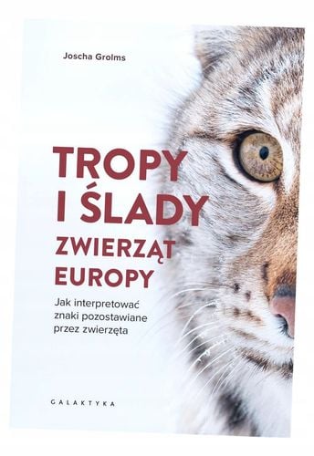Tropy i ślady zwierząt Europy na Arena.pl