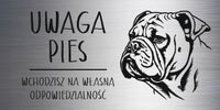 Tabliczka laminat 20x10 cm UWAGA PIES buldog angielski Z GRAWEREM