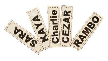 legowisko personalizowane dla psa domek 50x40 cm h=38 cm łapy czarne na Arena.pl