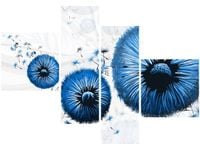 product-compare-58677828