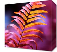 product-compare-59471564