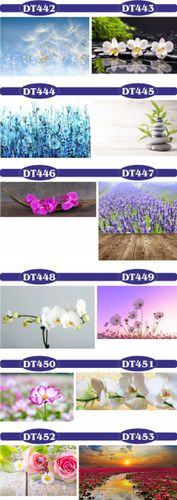 fototapety FOTOTAPETA na wymiar KWIAT kamienie SPA na Arena.pl