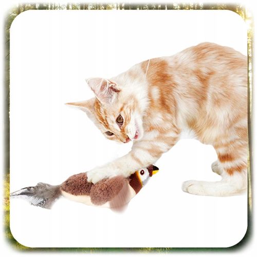 INTERAKTYWNA ZABAWKA DLA KOTA PLUSZOWY PTASZEK PTAK RUCH DŹWIĘK +KOCIMIĘTKA na Arena.pl