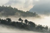 Fototapeta 3D Góry Las we Mgle Natura do Salonu 315x210