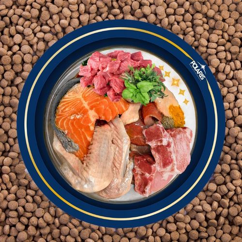 SUCHA KARMA DLA PSA POLARIS ADULT BEZ ZBÓŻ WOŁOWINA INDYK 12KG ŚWIEŻE MIĘSO na Arena.pl