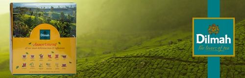 Herbata DILMAH PICK & MIX TEA 240 torebek na Arena.pl