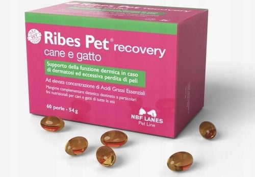 Ribes Pet recovery Cane e Gatto 60 kaps NBF Lanes * na Arena.pl