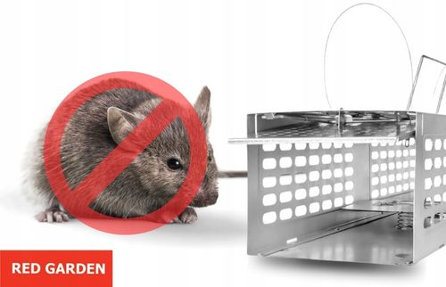 MYSZOŁAPKA ŻYWOŁAPKA PUŁAPKA ŁAPKA NA MYSZY I SZCZURY CHWYTACZ na Arena.pl