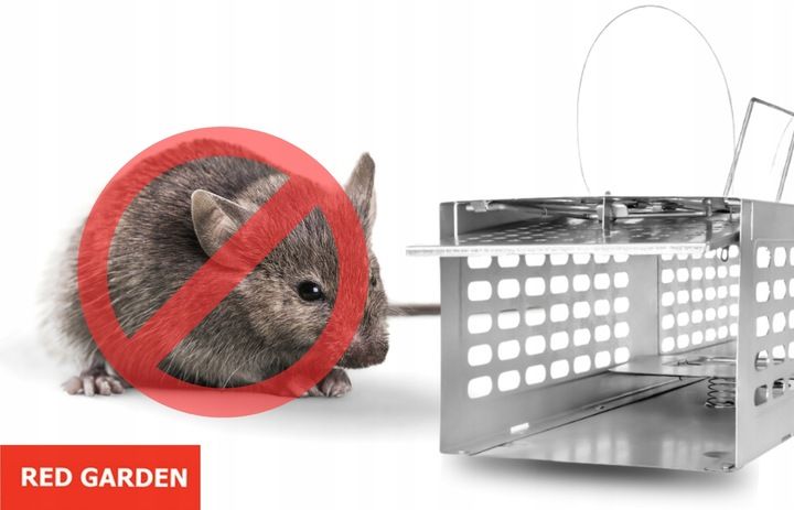 MYSZOŁAPKA ŻYWOŁAPKA PUŁAPKA ŁAPKA NA MYSZY I SZCZURY CHWYTACZ zdjęcie 8