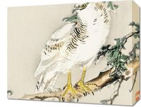 Obraz 50x40cm Northern Mockingbird, Kōno Bairei Vintage do Salonu