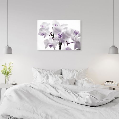 Deco Panel, Biało fioletowe orchidee 120x80 na Arena.pl