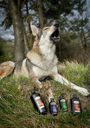 VITAR Veterinae Olej z Ostropestu 1000 ml -bogate źródło witaminy E+Omega 3 na Arena.pl