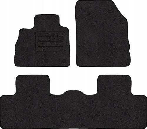 DYWANIKI DO RENAULT SCENIC IV LUX WYMIAR na Arena.pl