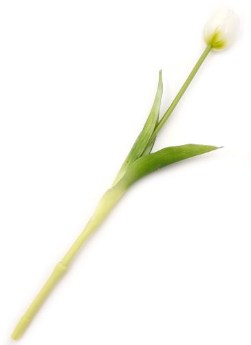 TULIPANY SILIKONOWE jak ŻYWE 40 cm TULIPAN SILIKONOWY BIAŁY na Arena.pl