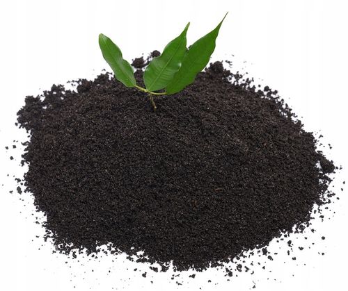 NAWÓZ ORGANICZNY SYPKI 100% WERMIKOMPOST 50 l na Arena.pl