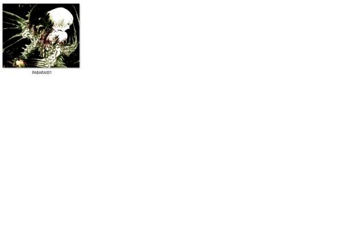 Podkładka Abara - RÓŻNE ROZMIARY na Arena.pl