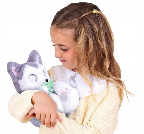 INTERAKTYWNY PIESEK PIES PRZYTULANKA PSYTULASKI W TOREBECZCE EPEE HUSKY na Arena.pl