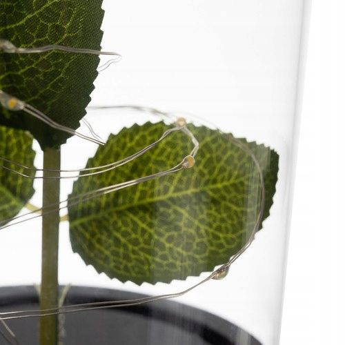 RÓŻA WIECZNA W SZKLE PREZENT LAMPKI LED PUDEŁKO ŚWIECĄCA DEKORACJA + PŁATKI zdjęcie 14