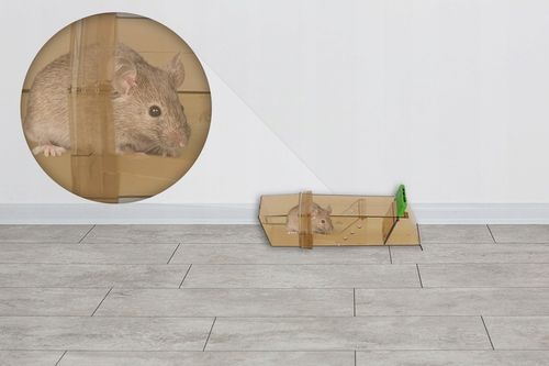 HUMANITARNY CHWYTACZ ŻYWOŁAPKA ŁAPKA PUŁAPKA NA MYSZY GRYZONIE NO PEST na Arena.pl