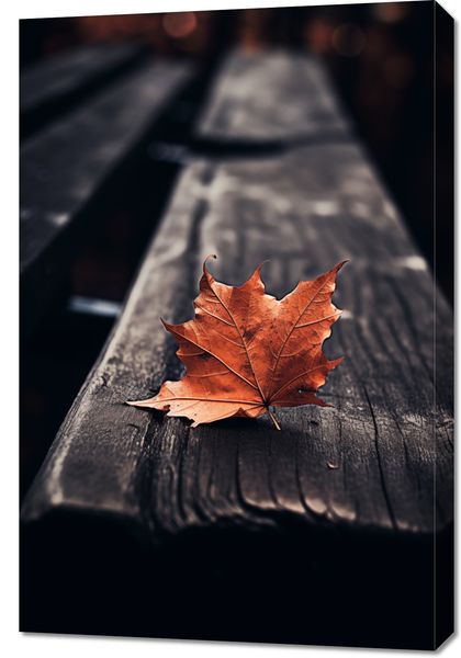 Obraz 60x90cm Pojedynczy Liść zdjęcie 1