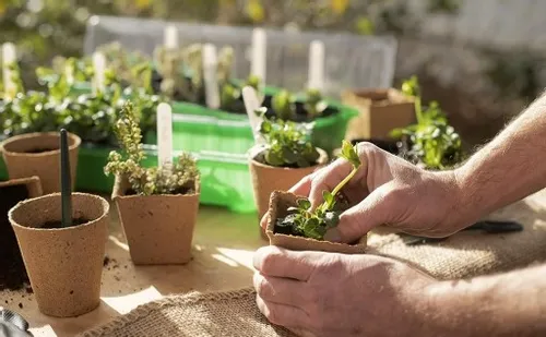 3-CZĘŚCIOWY MINI ZESTAW NARZĘDZI OGRODOWYCH NARZĘDZIA AKCESORIA DO OGRODU na Arena.pl
