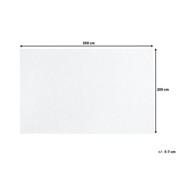Dywan 200 x 300 cm biały DEMRE zdjęcie 7