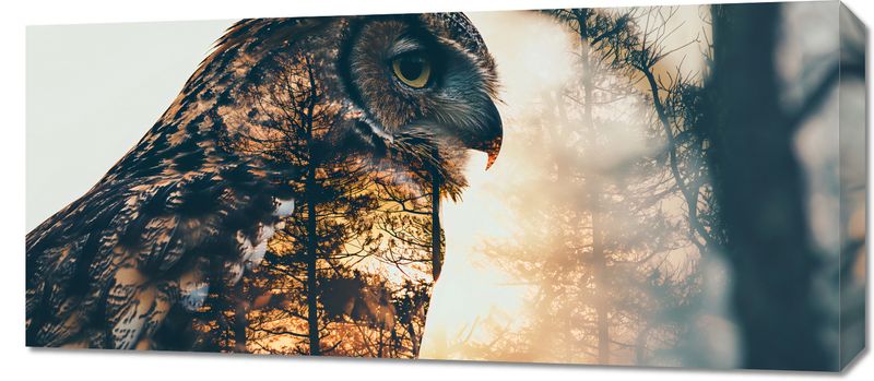 Obraz 90x40cm Sowi Duch zdjęcie 1