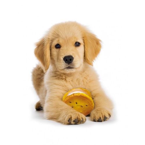 (W) Arquivet Ciasteczko winylowe dla psów - 7 cm na Arena.pl