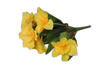 bukiet żonkil 2szt. | KW-259Z