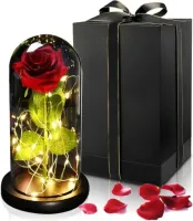 WIECZNA RÓŻA W SZKLE Lampa LED Lampka Nocna PREZENT 20 LEDY + PŁATKI RÓŻ