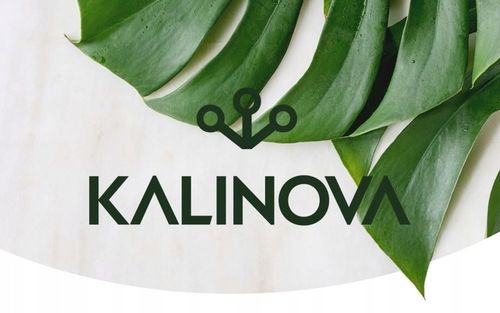 PODPORA PIERŚCIENIOWA DO ROŚLIN 75cm SZNUREK ZAPINKI DRUCIK ZESTAW na Arena.pl