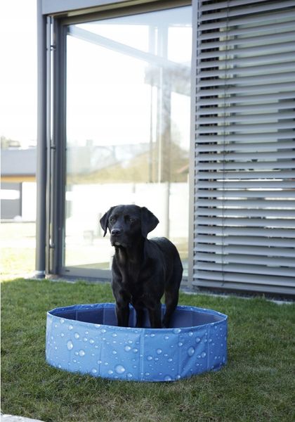 Basen dla psa Bubble, 80 x 80 x 20 cm Kerbl zdjęcie 6