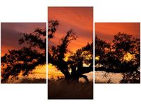 product-compare-58645741