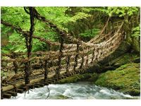 100 70CM OBRAZ PŁÓTNO MOST LINOWO-BAMBUSOWY PŁÓTNO RAMA