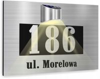 duża TABLICZKA ADRESOWA nierdzewna srebrna numer domu 30x20 lampka solarna